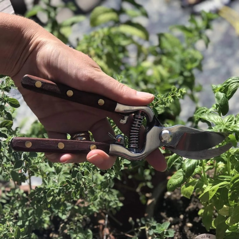 1-delige snoeischaar met houte - Bonsai Garden Knife recensie en prijs