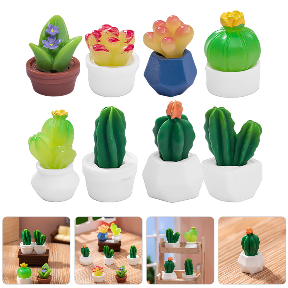 8 stuks miniatuur cactus bonsa - Bonsai Garden For Desk recensie en prijs