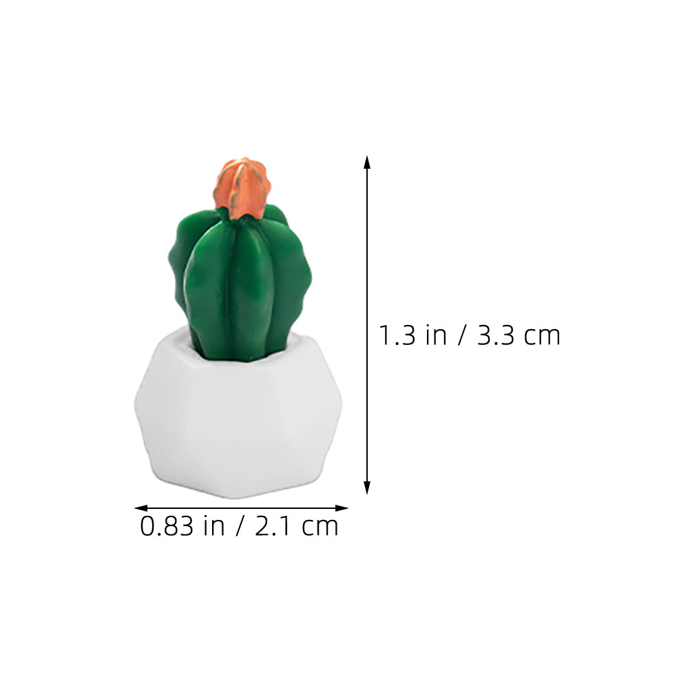 8 stuks miniatuur cactus bonsa - Bonsai Garden For Desk recensie en prijs