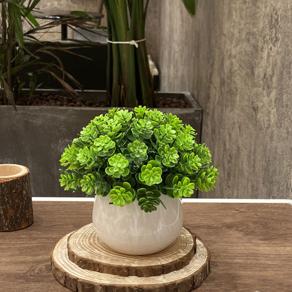 Realistische nep-bonsai kunstp - Bonsai Garden Cafe recensie en prijs