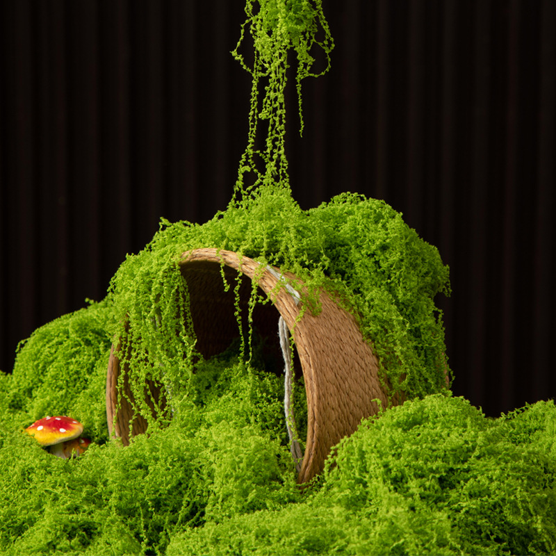 200g Eeuwig leven mos DIY amba - Bonsai Garden For Home recensie en prijs