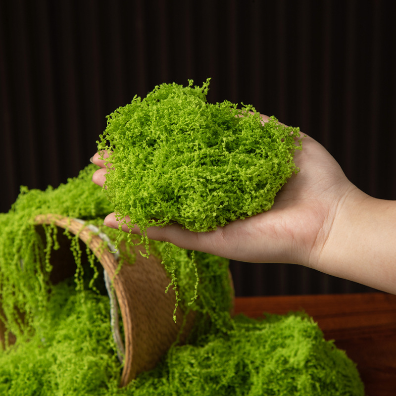200g Eeuwig leven mos DIY amba - Bonsai Garden For Home recensie en prijs