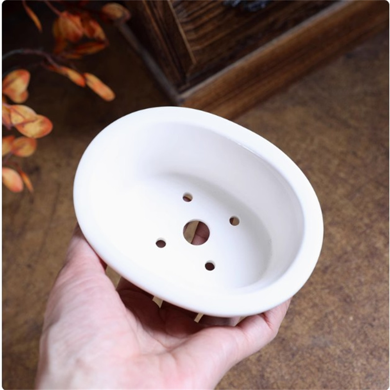 Porselein witte ovale bonsai p - Bonsai Garden For Desk recensie en prijs