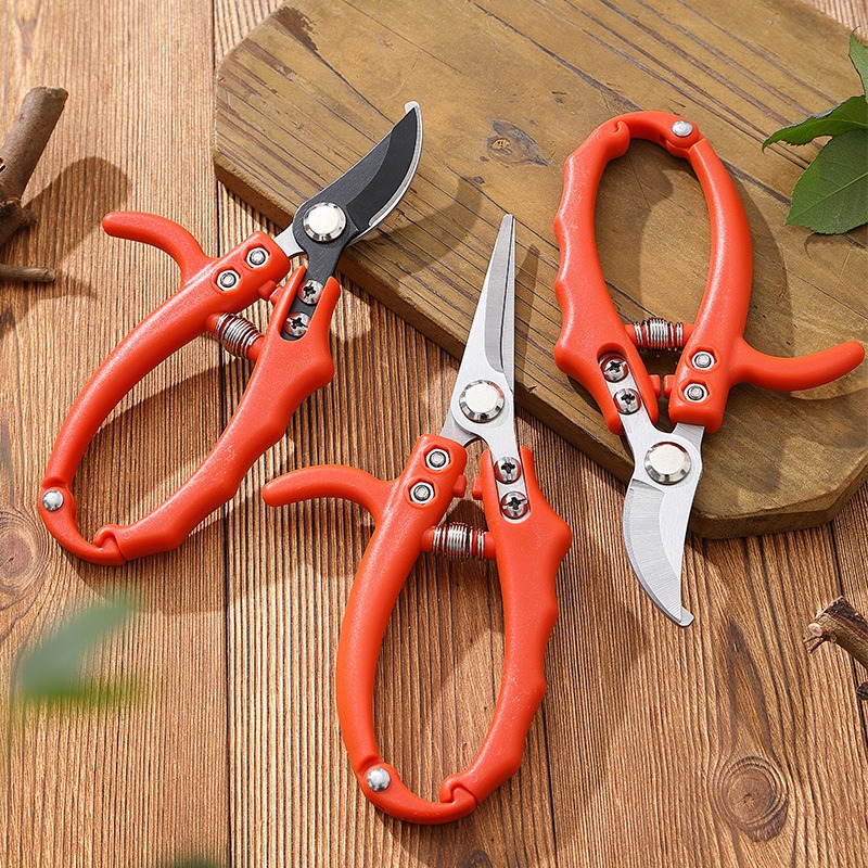 Tuinieren Tak Schaar Fruitboom - Bonsai Garden Knife recensie en prijs