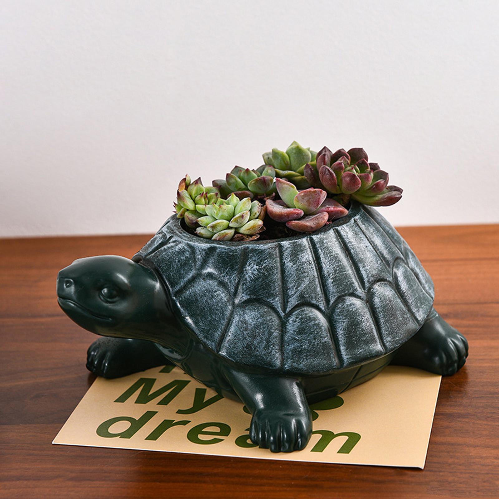 Schildpad plantenbak bloempot  - Bonsai Garden Cafe recensie en prijs