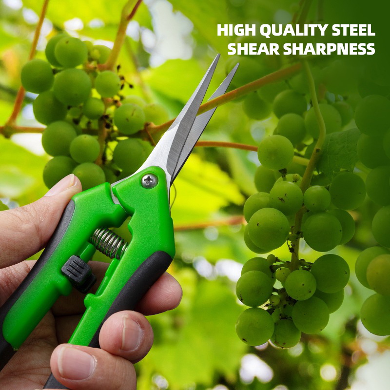 Airaj 7Inch Schaar Voor Het Sn - Bonsai Garden Knife recensie en prijs