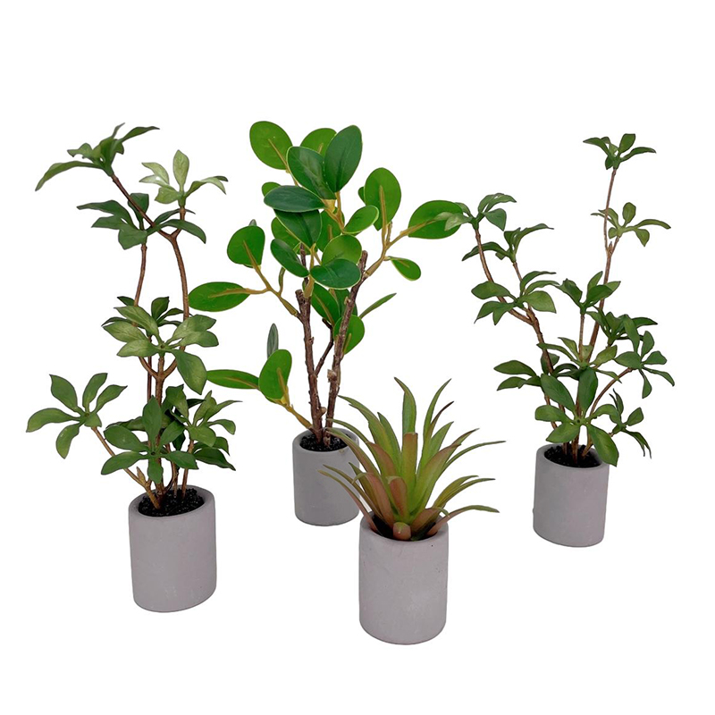 1:6 Dollhouse Miniatuur Potpla - Bonsai Garden For Home recensie en prijs