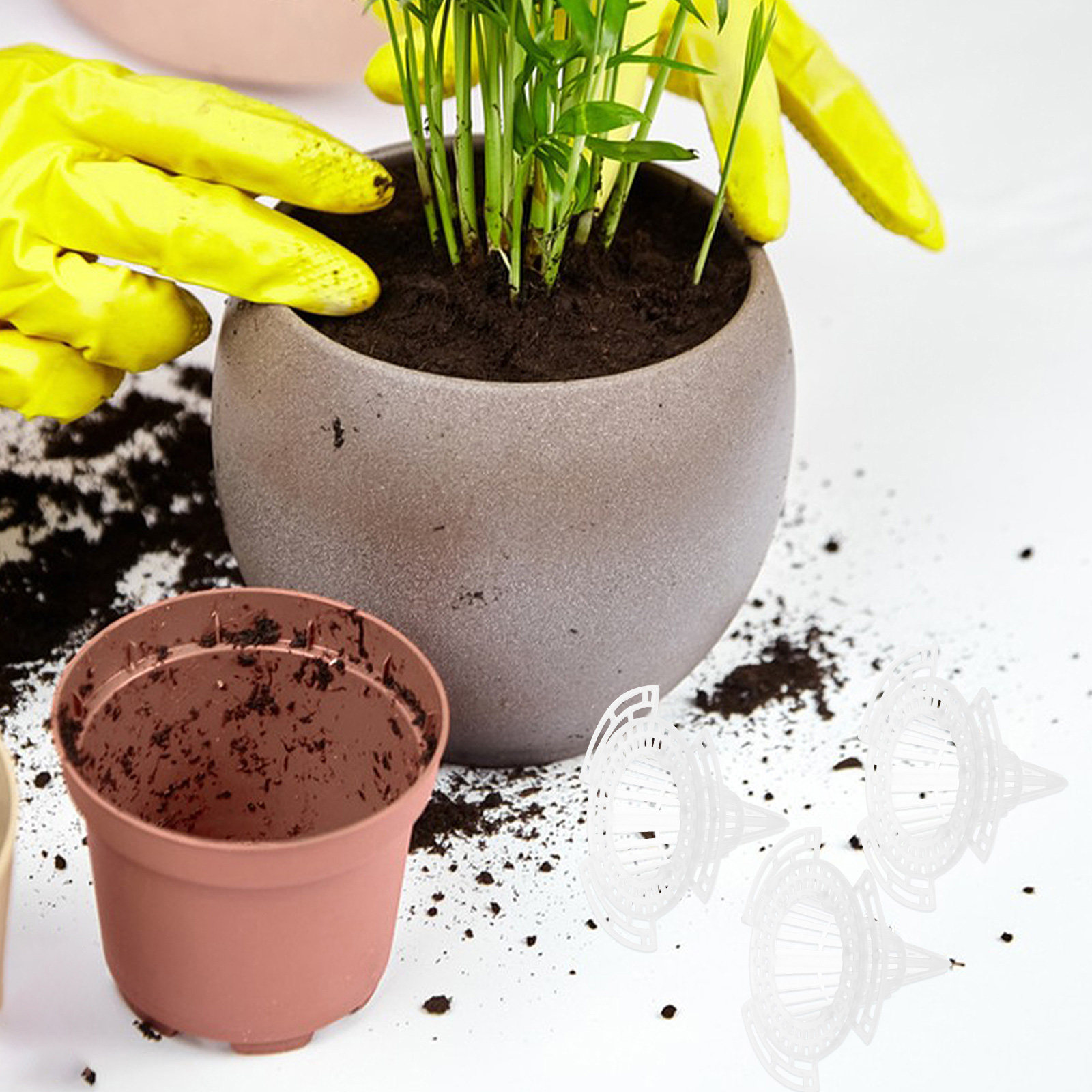 20 stuks kegelvormige gaasjes  - Bonsai Garden Cafe recensie en prijs