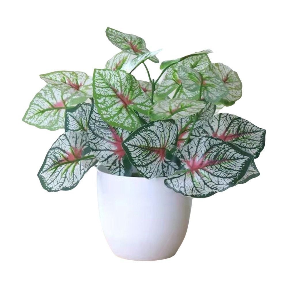 Miniatuur nep bloempotten bons - Bonsai Garden For Home recensie en prijs