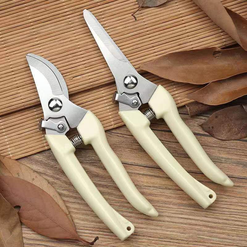 Roestvrijstalen tuinsnoeischaa - Bonsai Garden Knife recensie en prijs