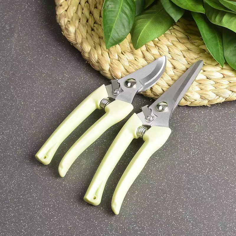 Roestvrijstalen tuinsnoeischaa - Bonsai Garden Knife recensie en prijs
