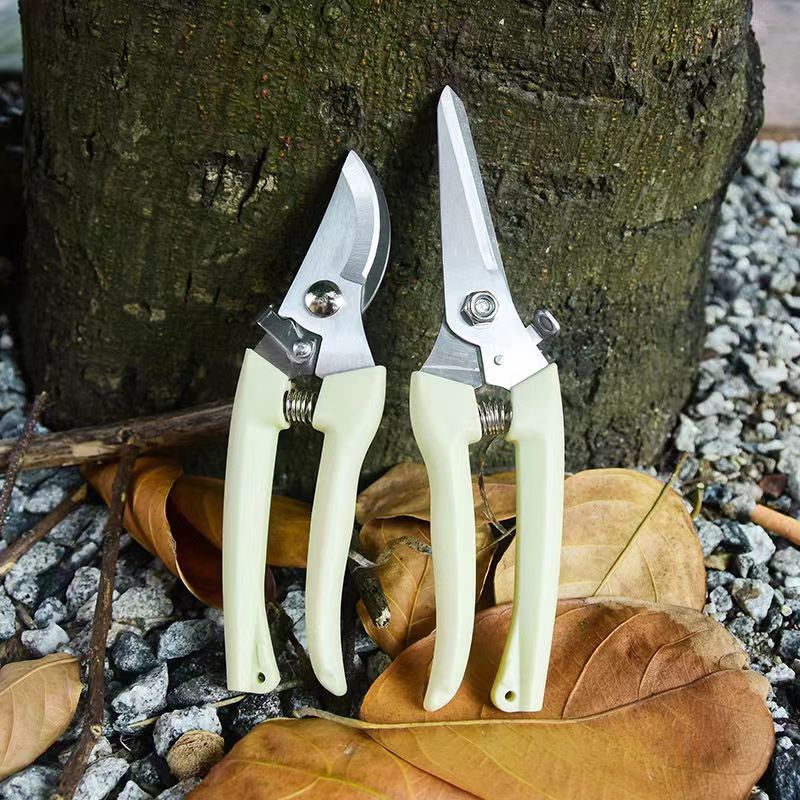 Roestvrijstalen tuinsnoeischaa - Bonsai Garden Knife recensie en prijs