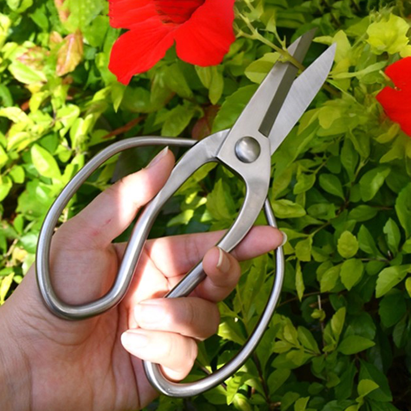 Rvs Snoeischaar Draagbare Tuin - Bonsai Garden Knife recensie en prijs