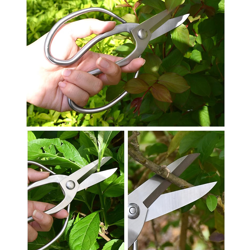 Rvs Snoeischaar Draagbare Tuin - Bonsai Garden Knife recensie en prijs