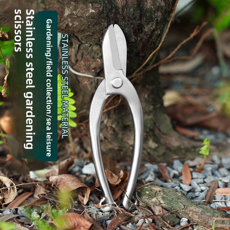 Roestvrijstalen Ikebana-schaar - Bonsai Garden Knife recensie en prijs